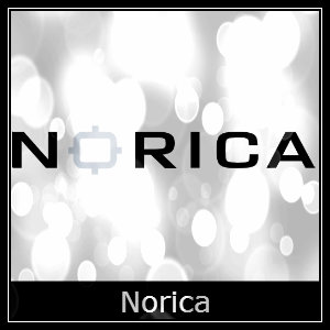 Norica Air Rifle Spares Logo