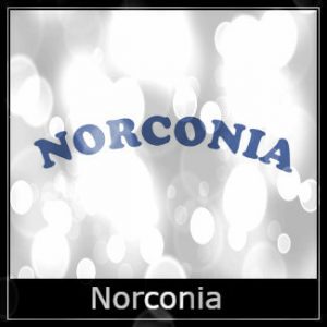 Norconia Airgun Spare Parts