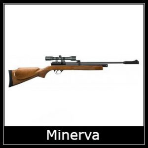 Stinger Minerva Air Rifle Spare Parts