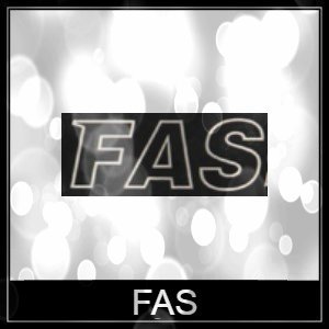 FAS AirguN Spare Parts